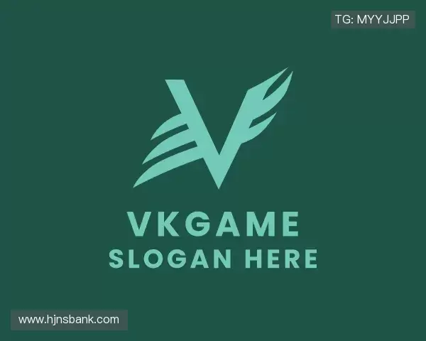 介绍vkgame