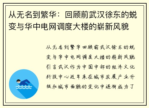 从无名到繁华：回顾前武汉徐东的蜕变与华中电网调度大楼的崭新风貌