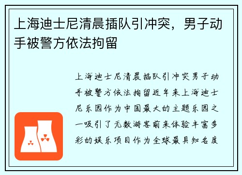 上海迪士尼清晨插队引冲突，男子动手被警方依法拘留