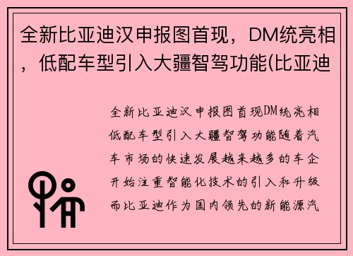 全新比亚迪汉申报图首现，DM统亮相，低配车型引入大疆智驾功能(比亚迪汉2022全新)
